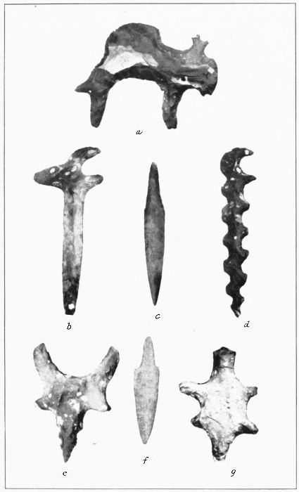 Plate 15. STONE OBJECTS FROM MOUND NO. 10.