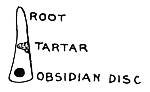 Fig. 58. Obsidian disk inserted
    in tooth of skeleton found in Mound No. 17.