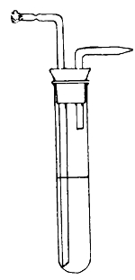 Fränkel's Tube