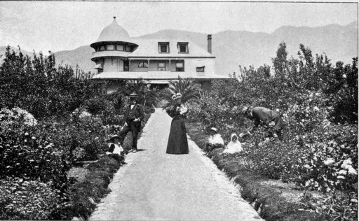 Image not available: WINTER IN SOUTHERN CALIFORNIA.