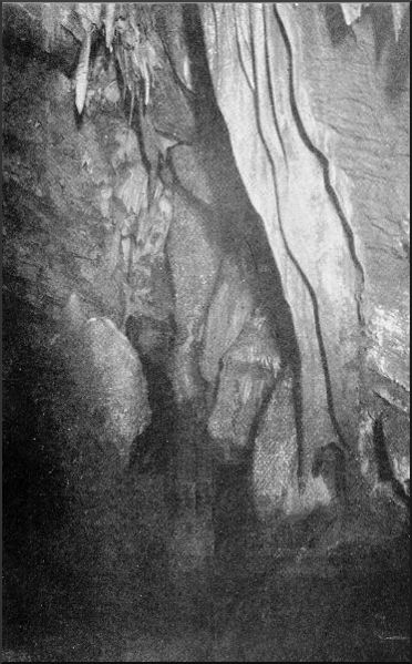 STALACTITE CURTAINS, SWILDON'S HOLE.