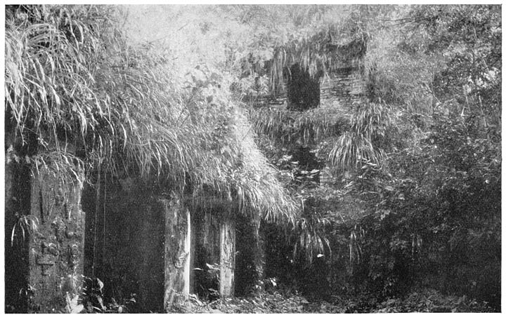 Part of the Palace and Tower, Palenque