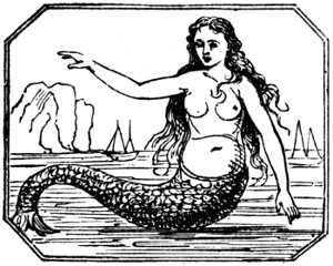 mermaid