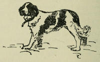 Drawing of a St. Bernard dog