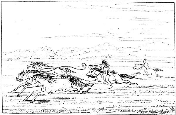Indians Capturing Wild Horses
