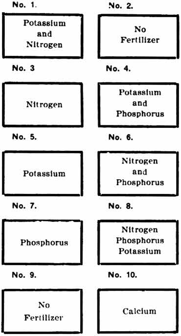 Soil testing plots.