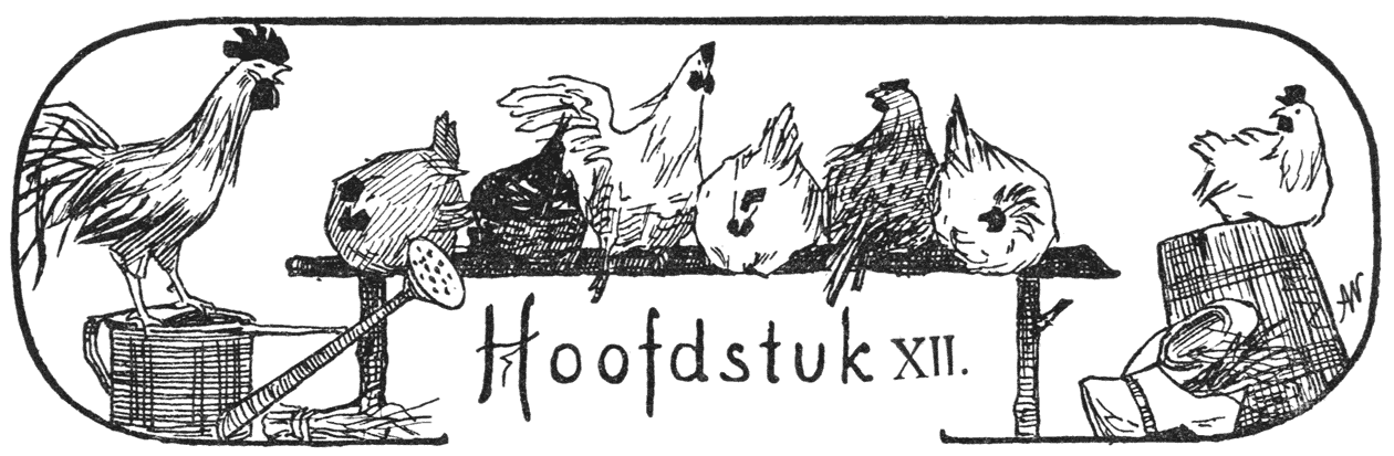 Hoofdstuk XII.