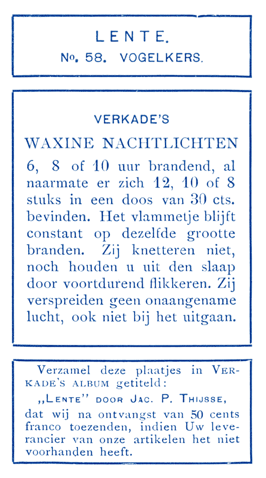 Vogelkers.