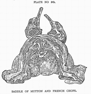 SADDLE OF MUTTON AND FRENCH CHOPS.