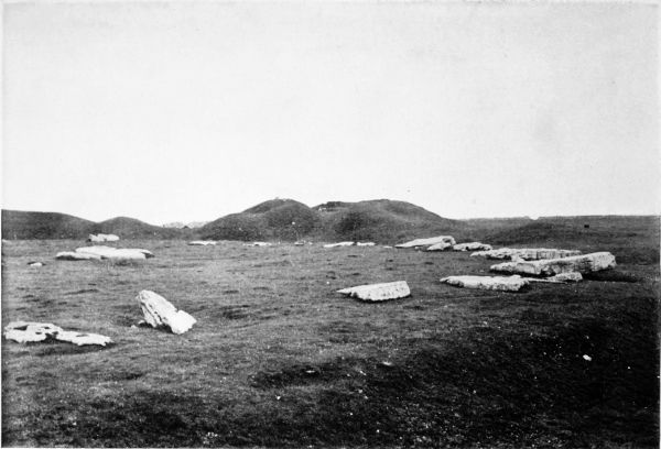 Arbor Low