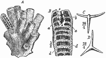 Fig. 97.