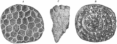 Fig. 193.