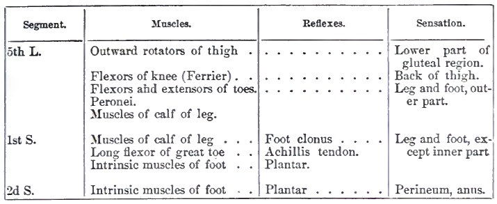 Localization in spine part 1