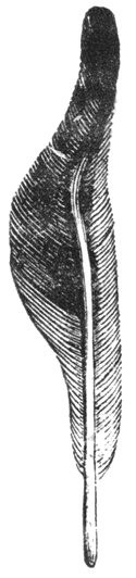 Fig. 32.