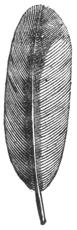 Fig. 36.