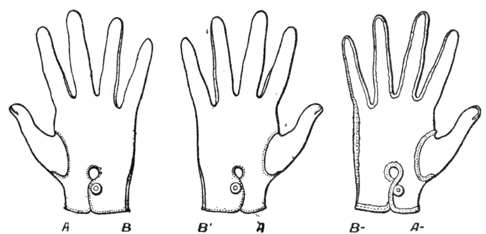 In space of three dimensions we cannot make a right hand glove and
a left hand glove look the same no matter how we turn them around.