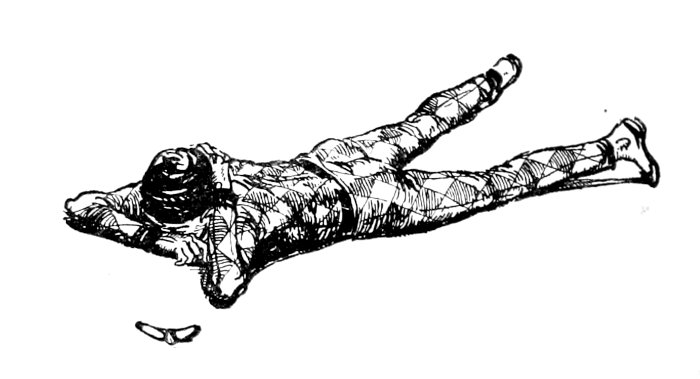 Harlequin lying face down